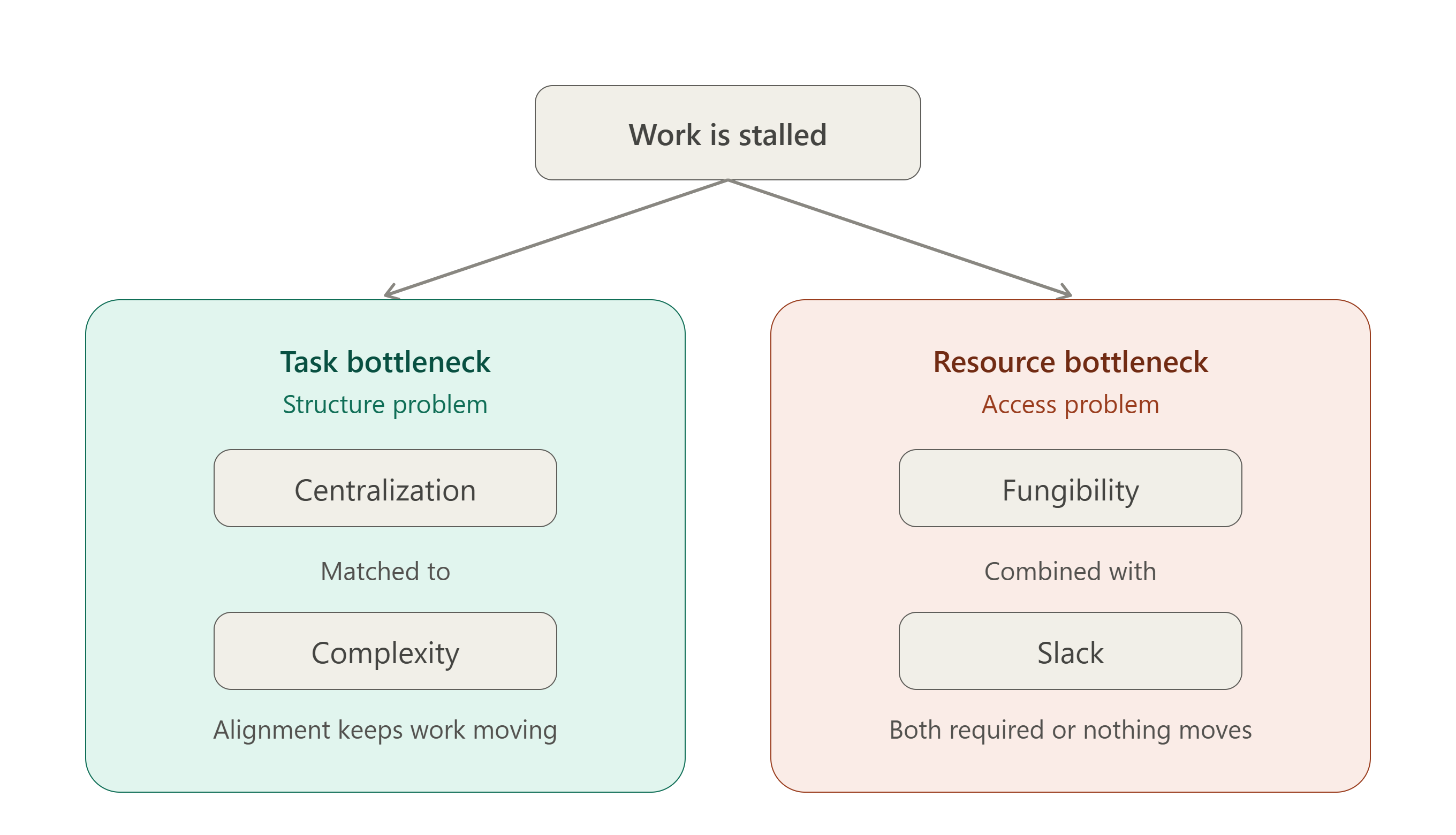 bottleneck effects