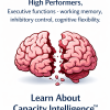 high performers - capacity intelligence